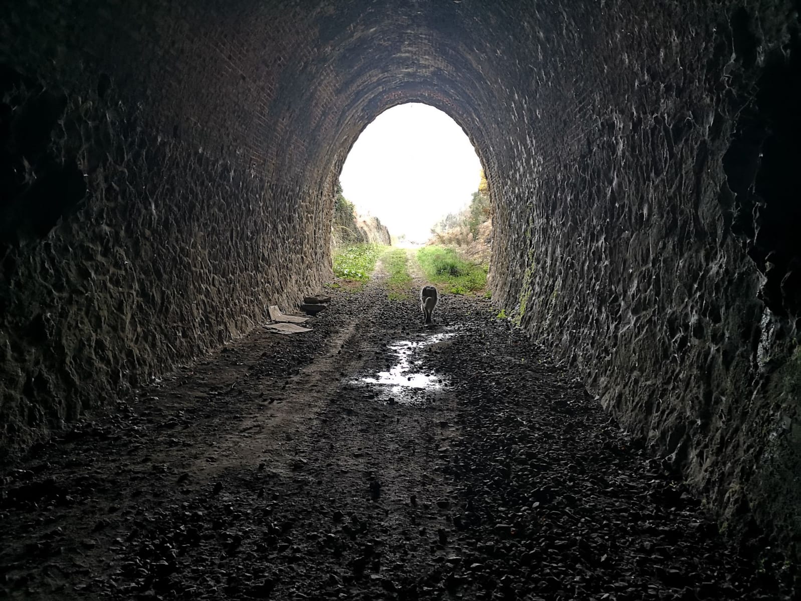 Photo d'un tunnel, qui représente le parcours d'accompagnement d'un enfant malade